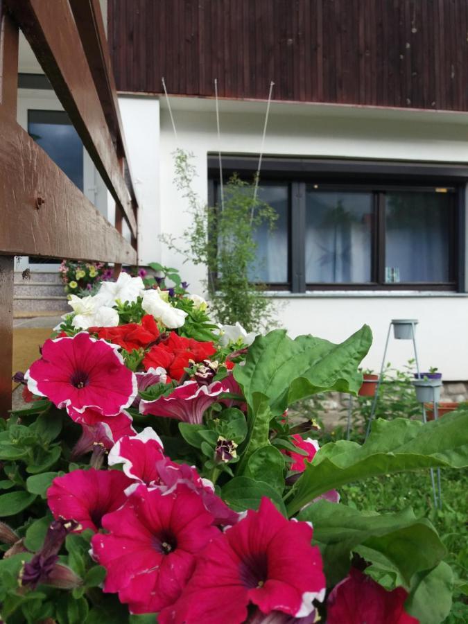 فندق Privat Tatry Dreams Nová Lesná المظهر الخارجي الصورة